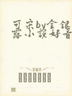 可宋by金银花露小说好看吗