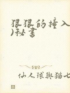 狠狠的撞入(h)秘书