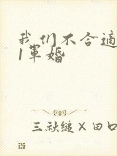 我们不合适1v1军婚