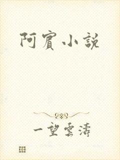 阿宾小说