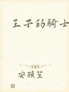 王子的骑士小说