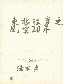 东北往事之黑道风云20年