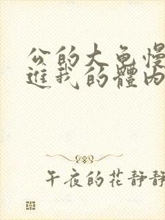 公的大龟慢慢挺进我的体内