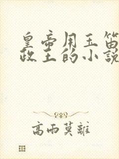 皇帝用玉笛整摄政王的小说