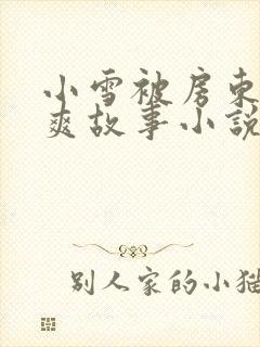 小雪被房东的好爽故事小说