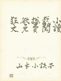 狂欲总裁小说全文免费阅读