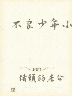 不良少年小说