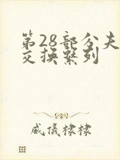 第28部分夫妇交换系列