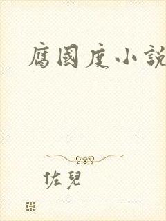 腐国度小说