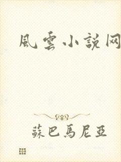 风云小说网