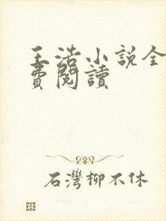 王浩小说全文免费阅读