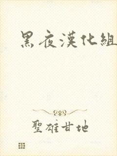 黑夜汉化组