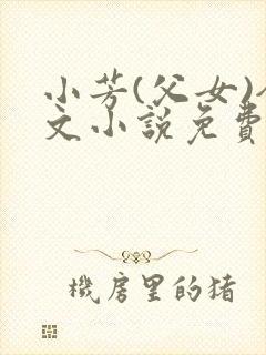 小芳(父女)全文小说免费阅读