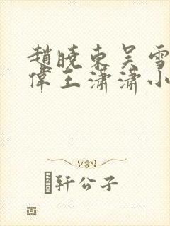 赵晓东吴雪晴郑伟王潇潇小说