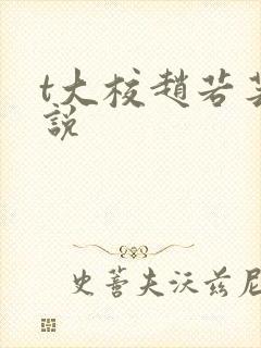 t大校赵若芸小说