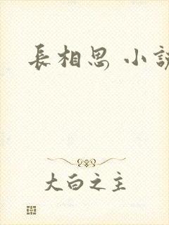 长相思 小说