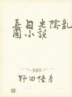 长日光阴乱作一团小说