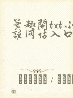 笔趣阁txt小说网站入口
