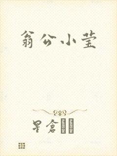 翁公小莹