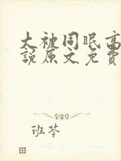 大被同眠高粱小说原文免费阅读