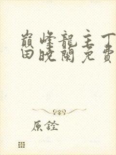 巅峰龙主丁长顺田晓兰免费阅读