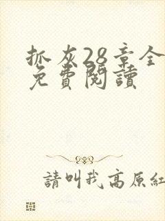 抓灰28章全部免费阅读