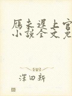 雁未迟上官穿越小说全文免费阅读