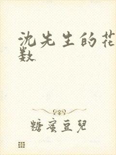 沈先生的花式调数