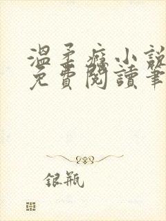 温柔瘾小说全文免费阅读笔趣阁