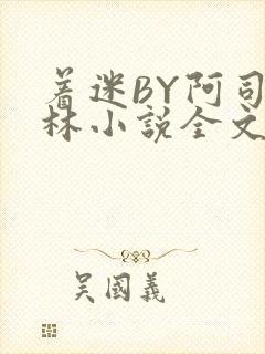 着迷BY阿司匹林小说全文免费阅读