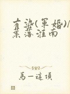 有染(军婚)/叶落淮南