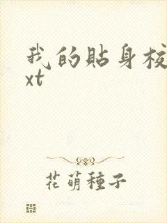 我的贴身校花txt