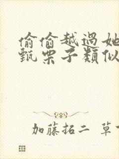 偷偷越过她by甄栗子类似小说