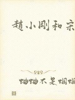 赵小刚和宋雨晴