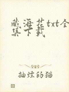 藏海花txt全集下载