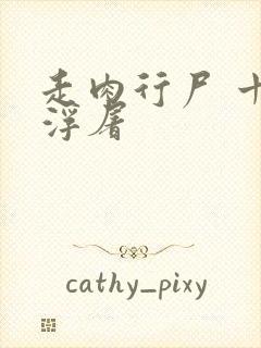 走肉行尸 十阶浮屠