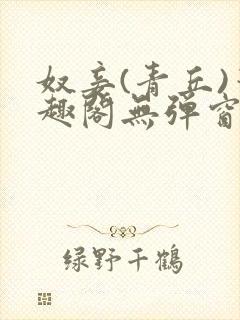 奴妾(青丘)笔趣阁无弹窗