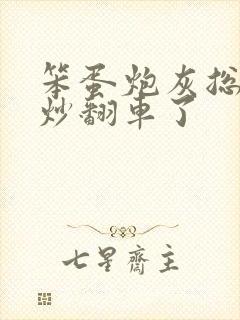 笨蛋炮灰总被爆炒翻车了