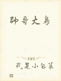 帅哥大鸟