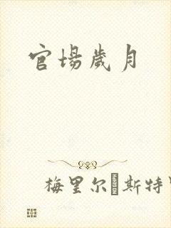 官场岁月