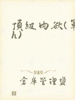 顶级肉欲(军高h)