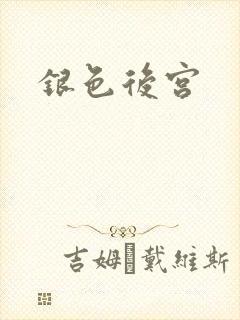 银色后宫