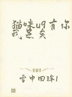 猫咪u9有你有我足矣