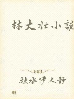 林大壮小说阅读