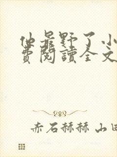 他最野了小说免费阅读全文