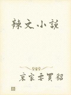辣文小说
