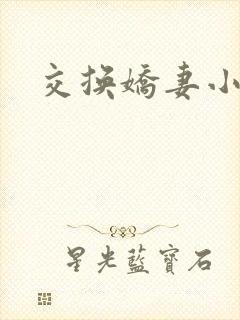 交换娇妻小说