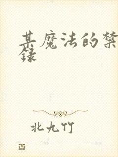 某魔法的禁书目录