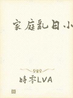 家庭乱日小说