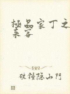 极品家丁之远方来客